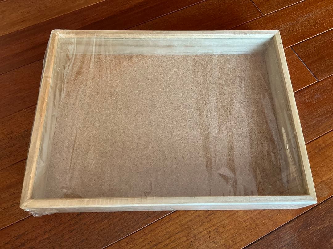 志賀昆虫普及社インロー硝子蓋式標本箱 (桐製コルク板敷)特大型(未使用)