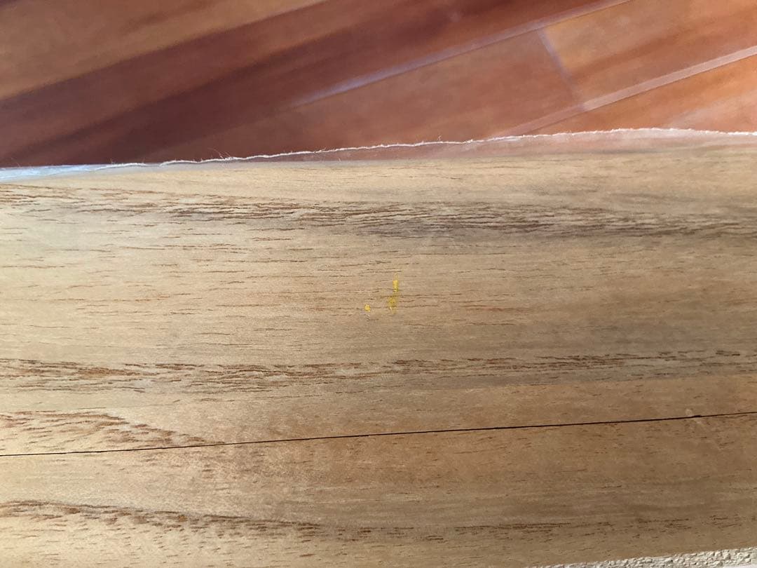 志賀昆虫普及社インロー硝子蓋式標本箱 (桐製コルク板敷)特大型(未使用)