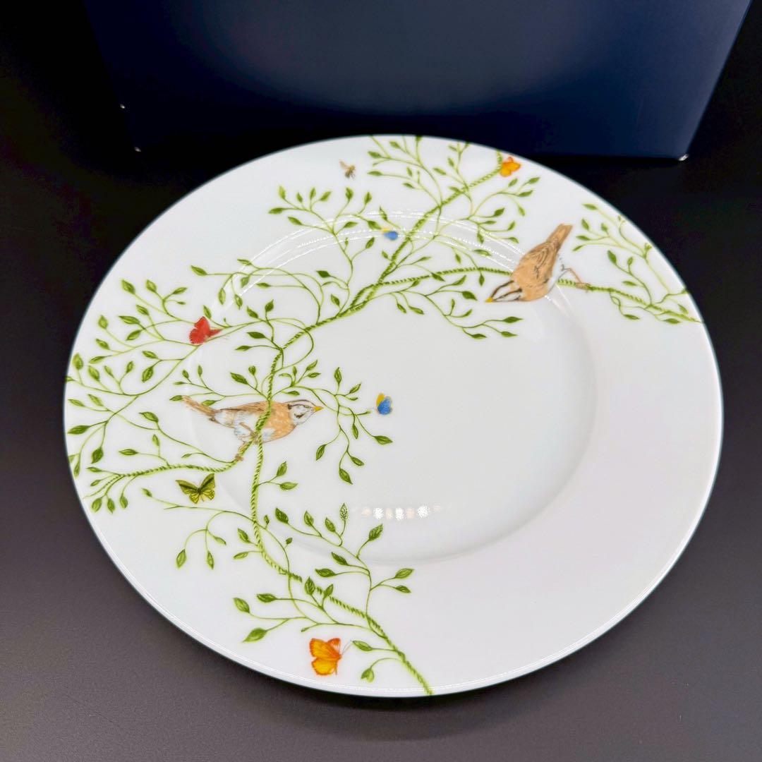 RAYNAUD ヒストリーナチュール　ブラウンバード22cm 6枚セット　箱付