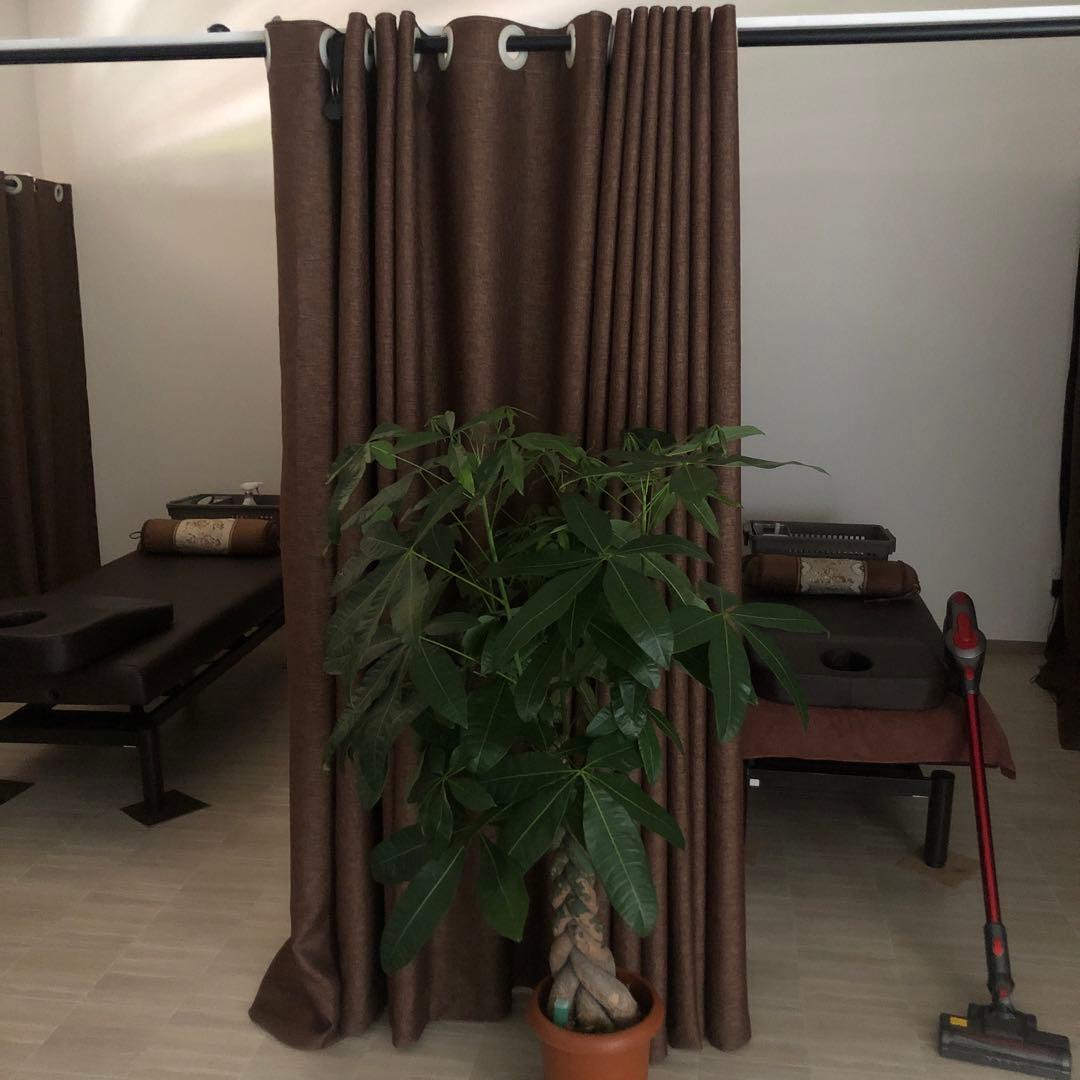 サンゲツ整骨 接骨 医 ロングカーテン幅4ｍ高2m-4枚、幅4m高2.2m-2枚