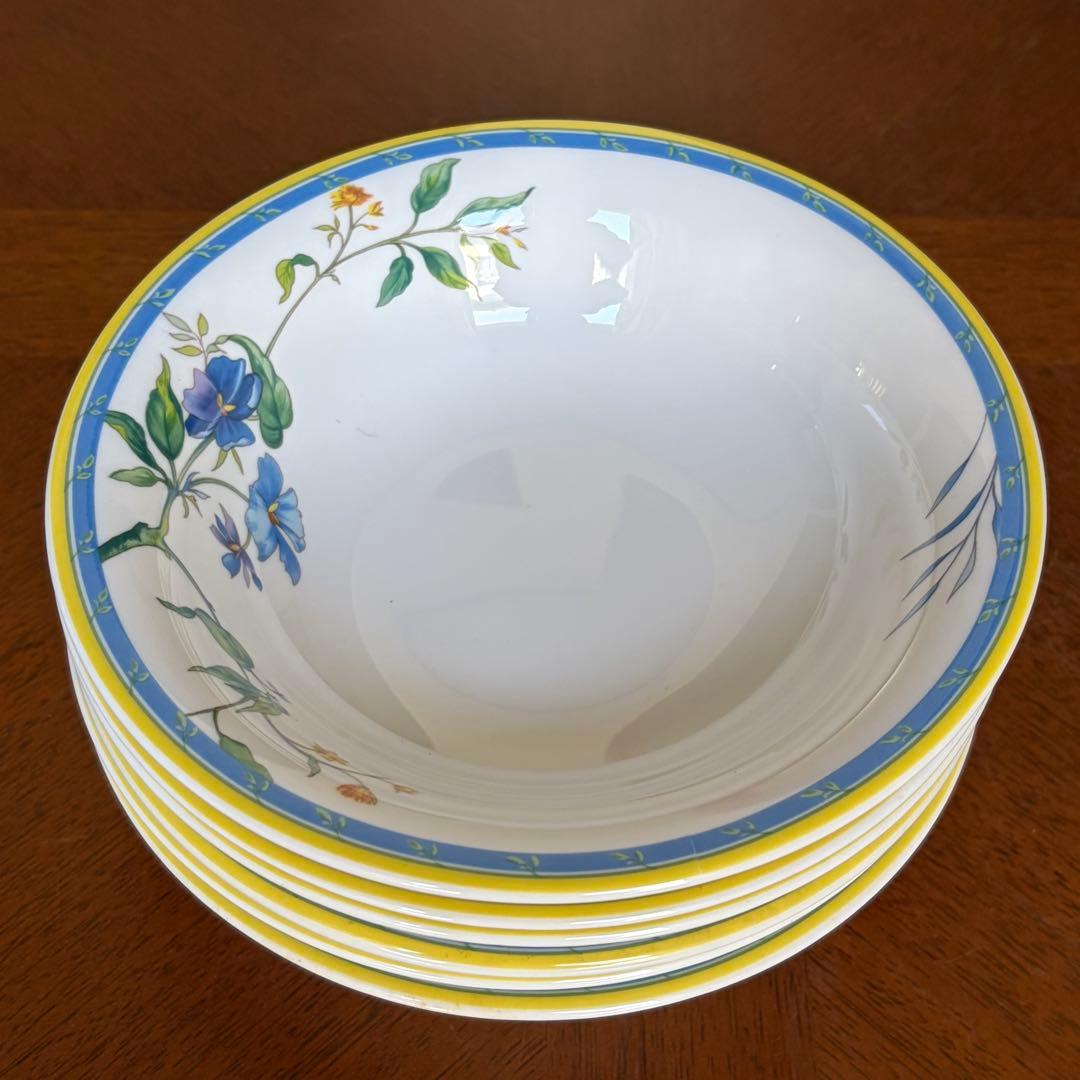 【レア美品】英国製　ロイヤルウースター★PASTRALE★サラダボウル6個