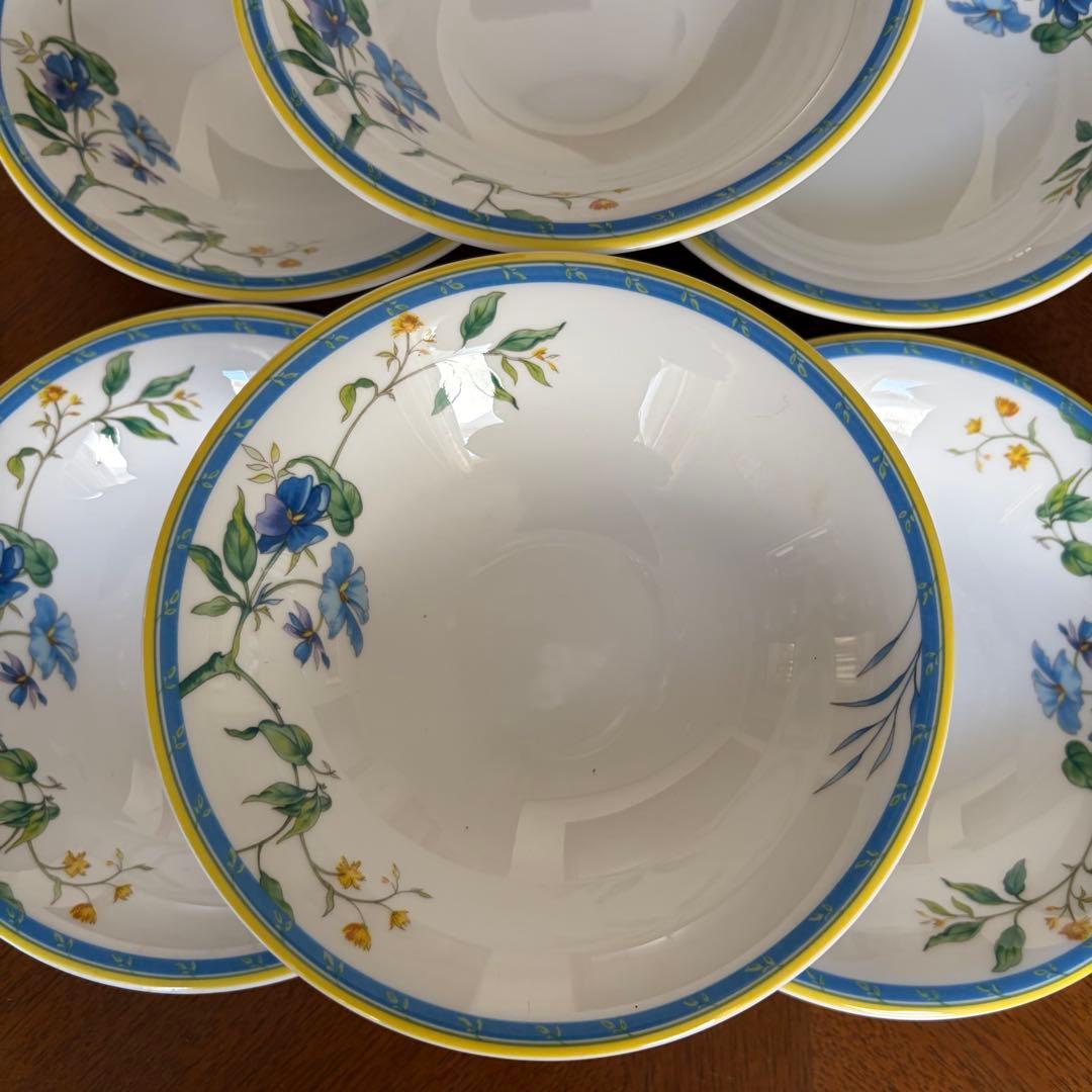 【レア美品】英国製　ロイヤルウースター★PASTRALE★サラダボウル6個