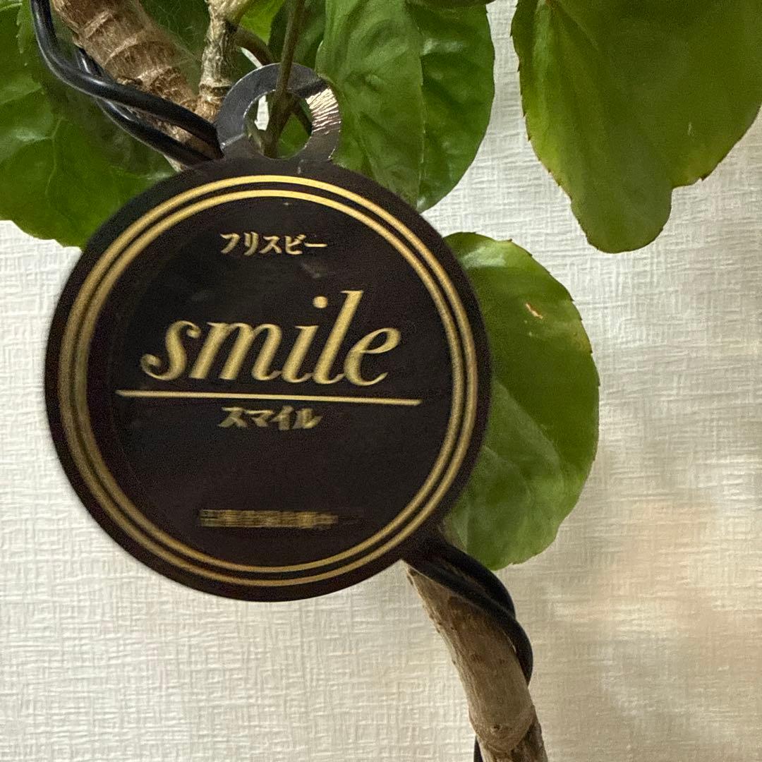 ポリシャス フリスビー スマイル