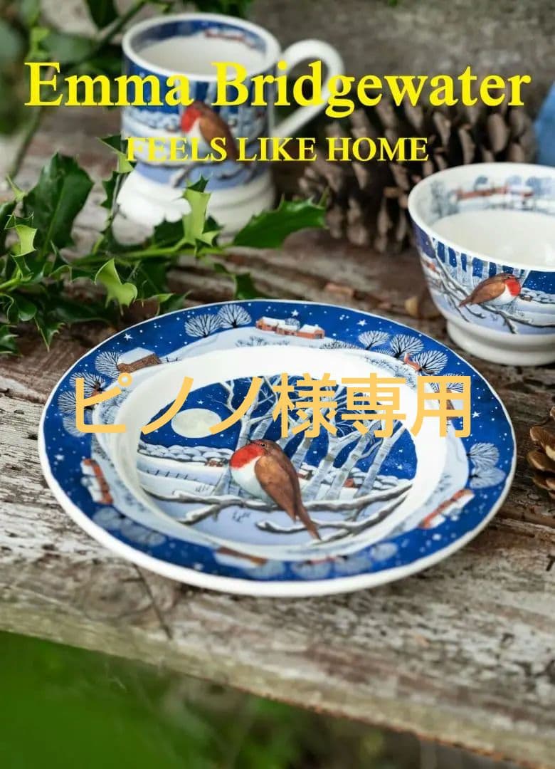 【ピノノ】EBミッドナイトロビンプレート＆クリスマスドレッサーティータオル