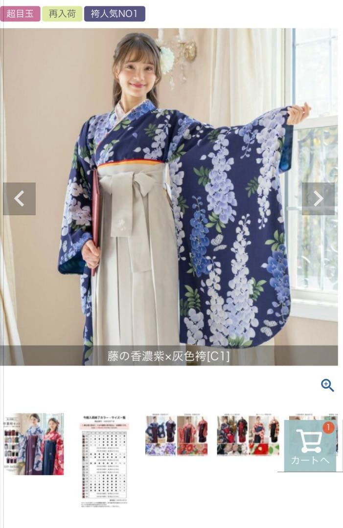 卒業式袴160cm 藤の香濃紫✖️灰色袴