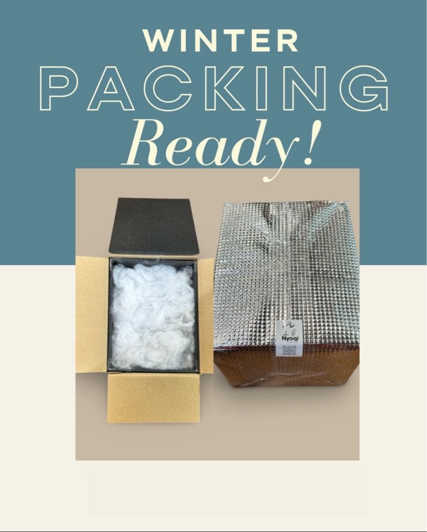 その他観葉植物 Alocasia Black Velvet Pink Variegated