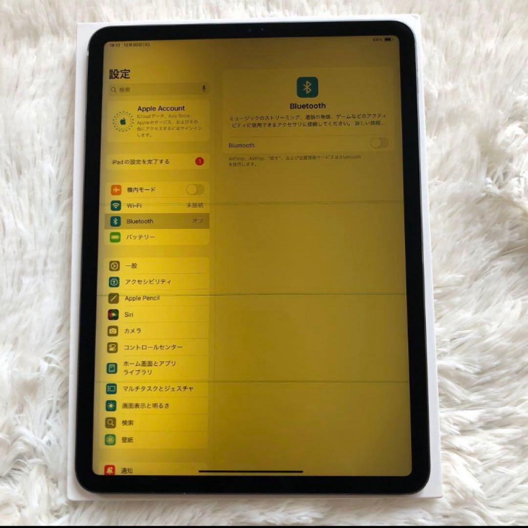 【1/27販売終了】iPad Pro 11 第1世代 256GB 【すぐ発送】