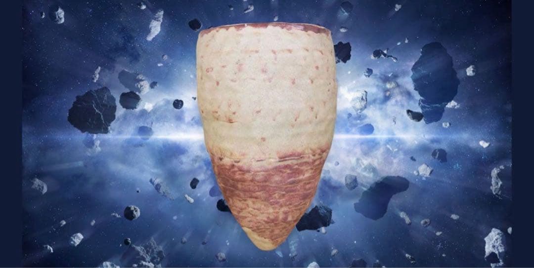 信楽焼 壁掛け花器 円錐形　高さ26㎝