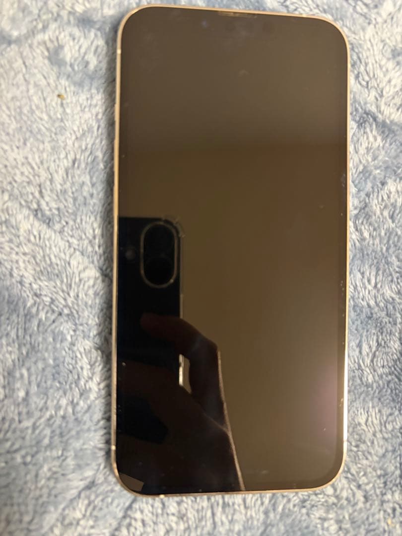 本日限り値下げ！Apple iPhone 13 Proシルバー