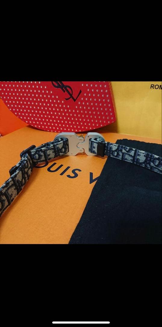 DIOR HOMME × ALYX ベルト オブリーク ローマ限定品