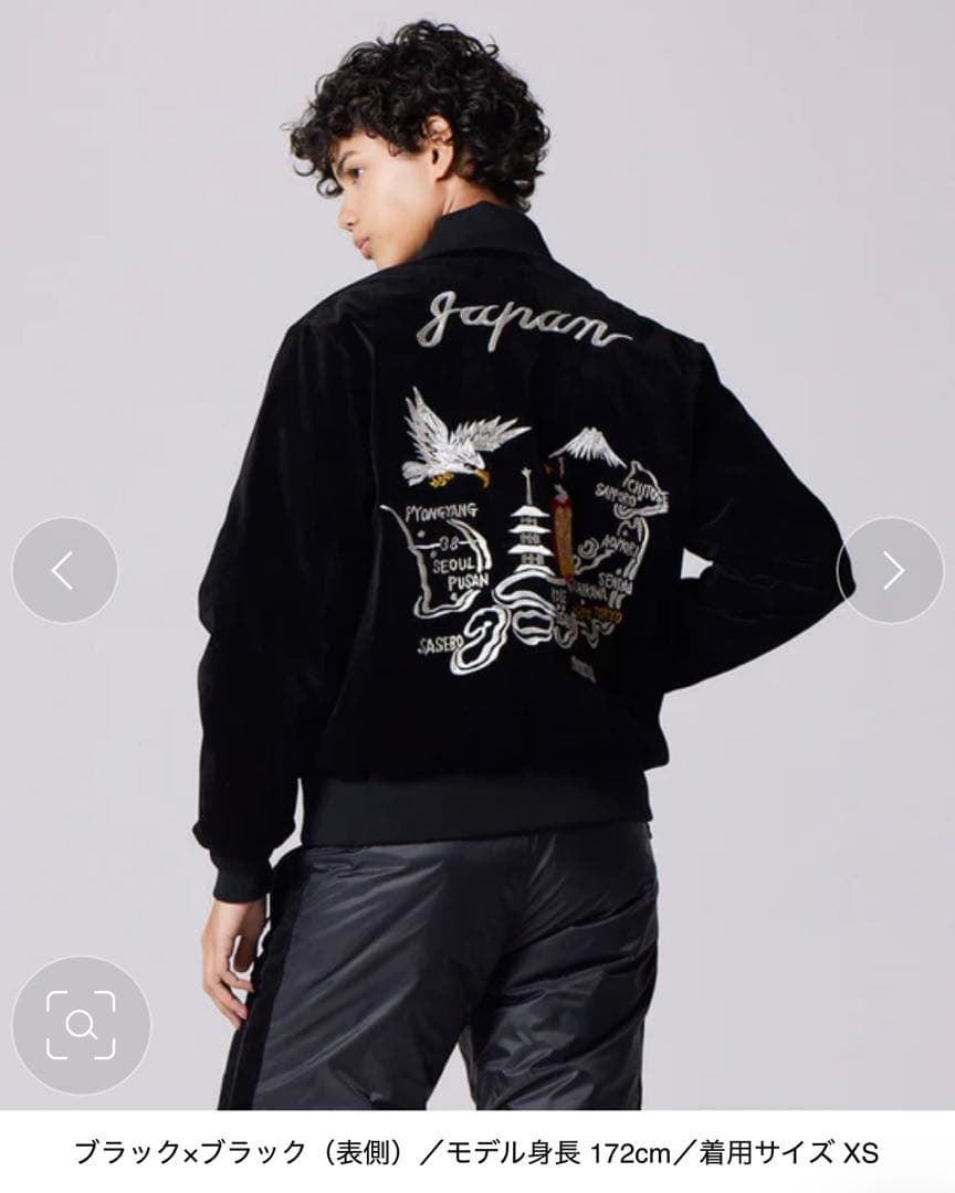 TAION ジャパンスペシャル リバーシブル スカジャン ダウンジャケット