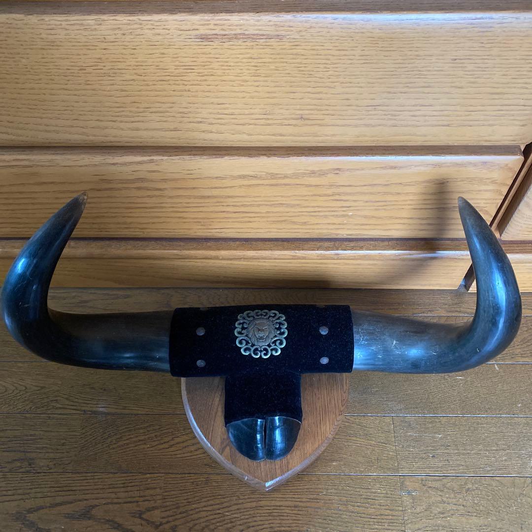 水牛の角？！　置物　壁掛け　インテリア