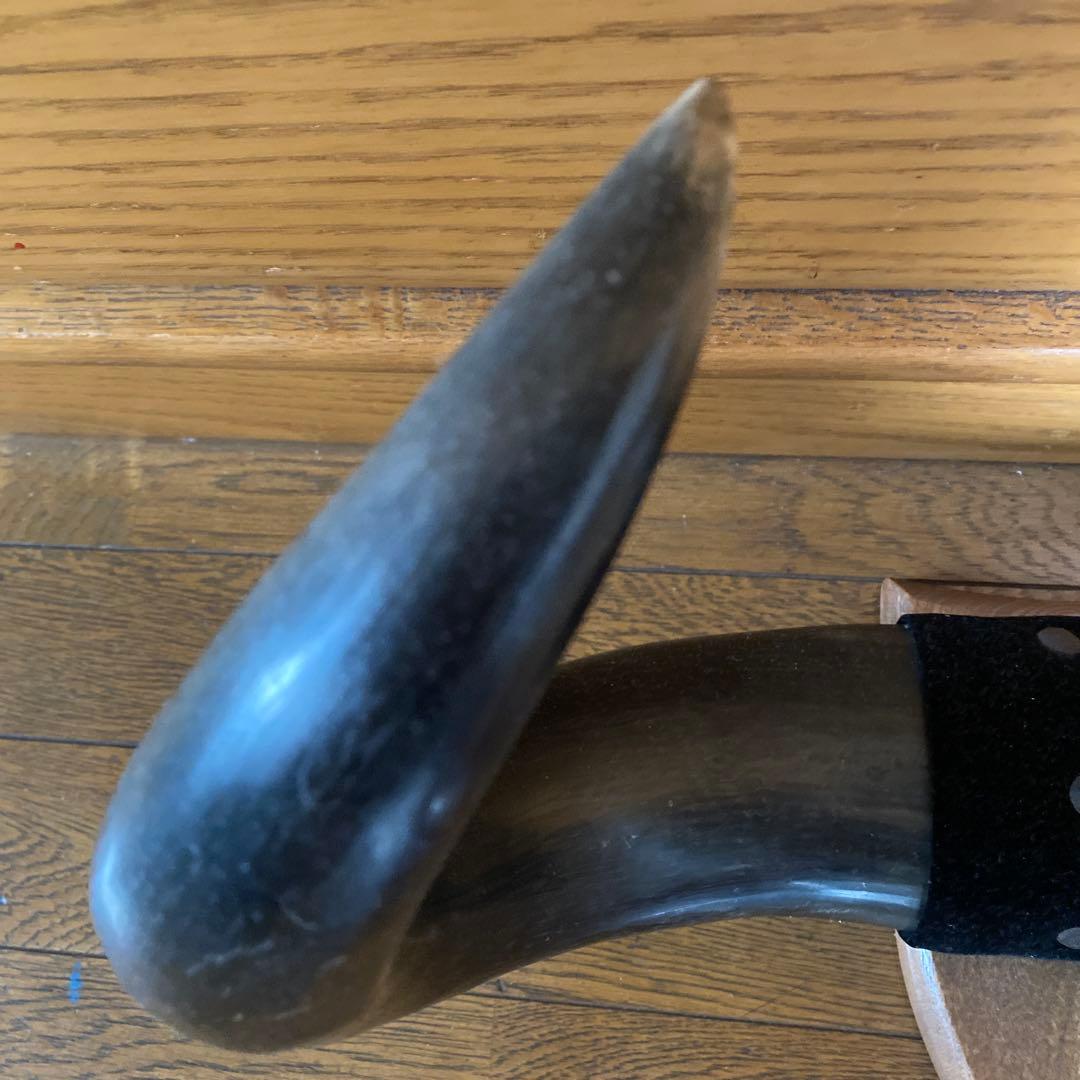 水牛の角？！　置物　壁掛け　インテリア