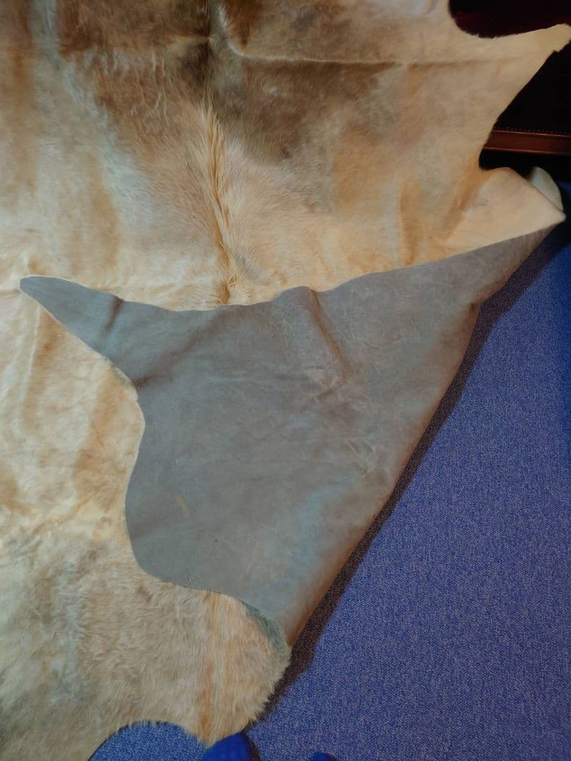 【希少品】敷物　未使用　牛革　大型　本皮　カウラグ　一点もの