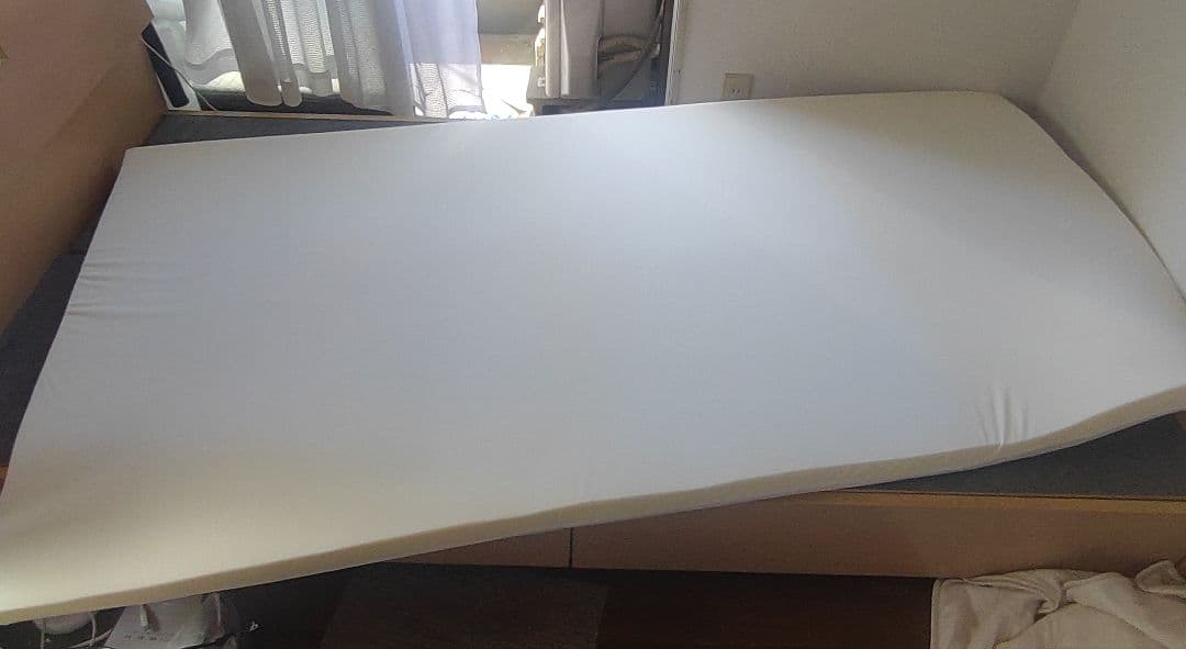 【中古極上品】低反発 トゥルースリーパー プレミアム【 シングルサイズ】