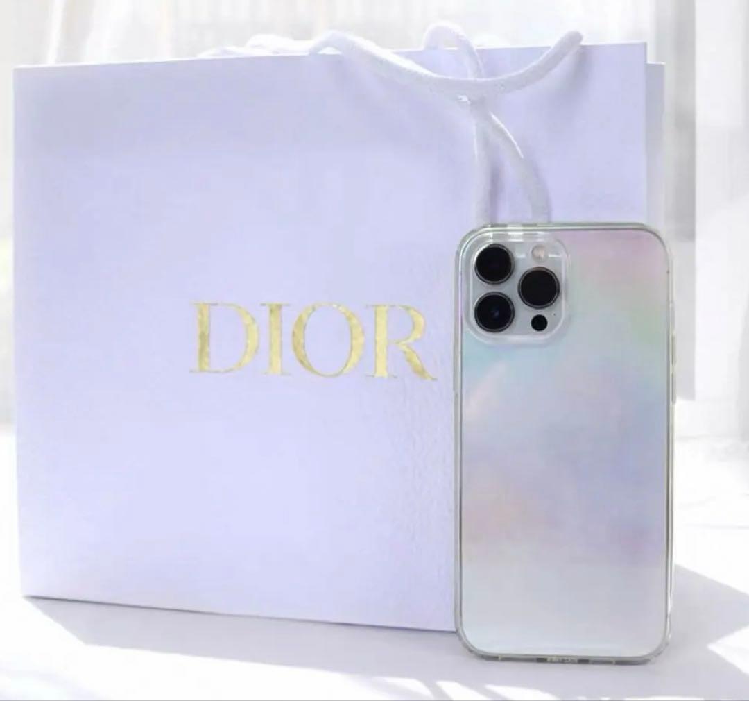 ディオール　大ショッパー　80枚①