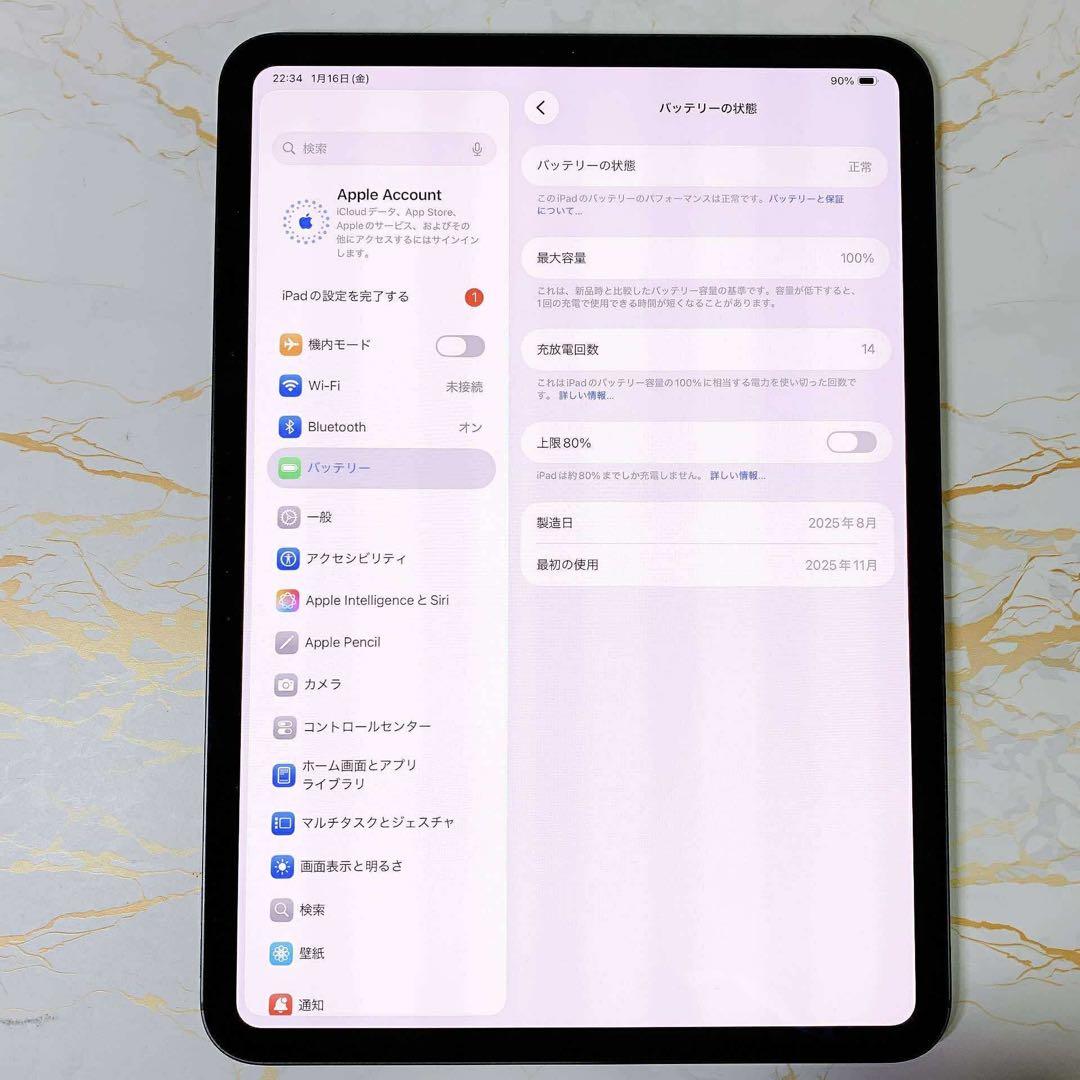 美品iPad Pro 11インチ M5 256GB BT100%充電回数14回