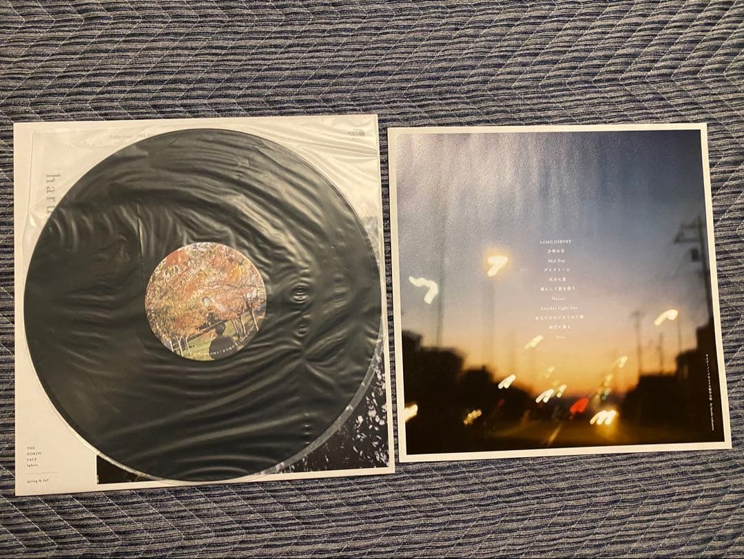 haruka nakamura 春秋