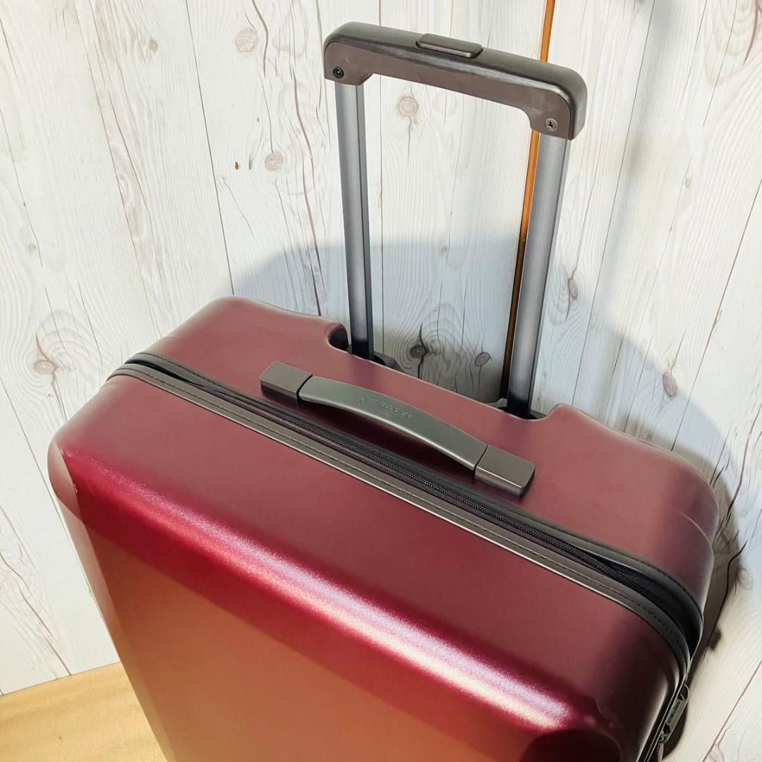 【希少】PROTECA LAGGNA ラグーナ 82L エース プロテカ