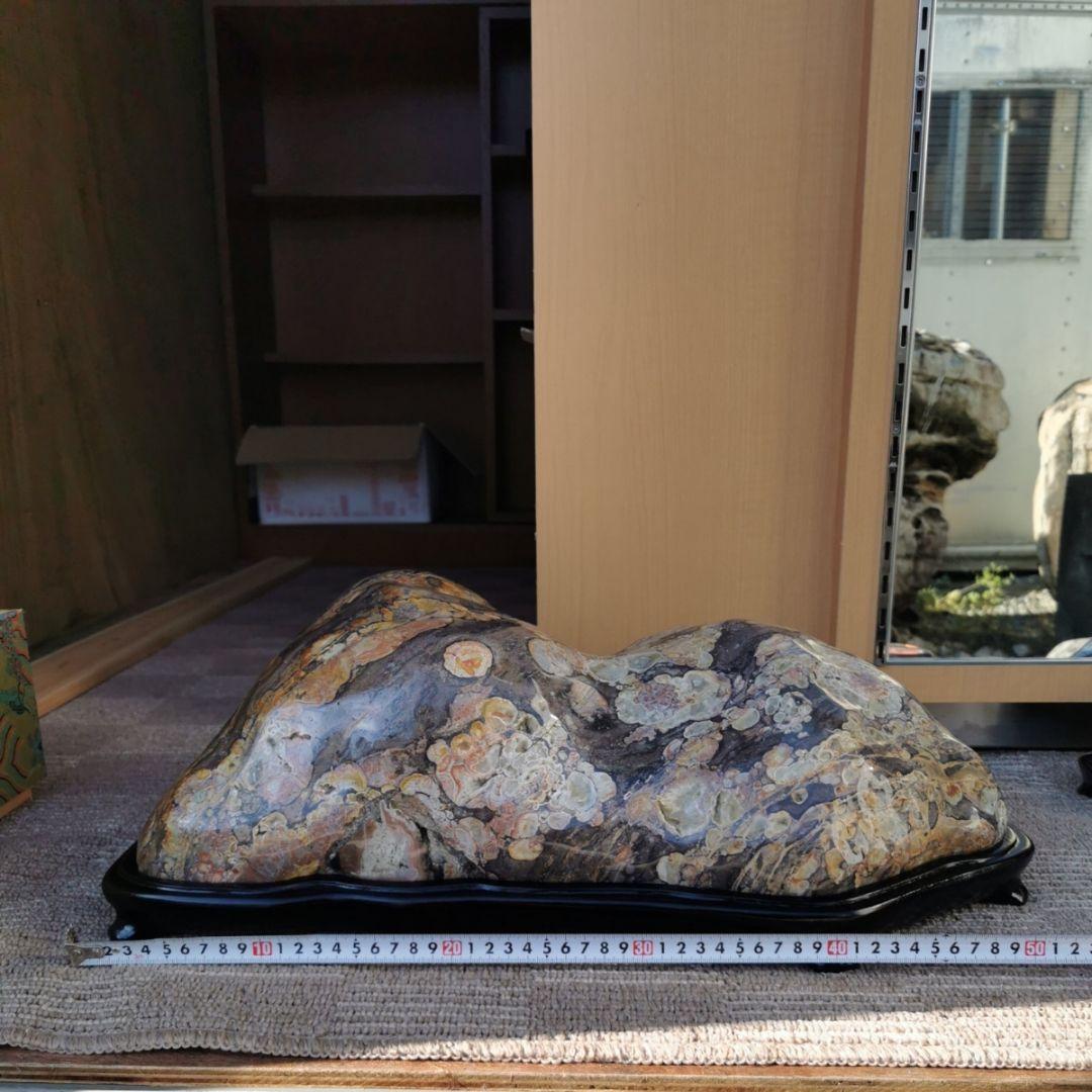 牡丹石　22.5キロ　鑑賞石　石　置物　オブジェ　インテリア