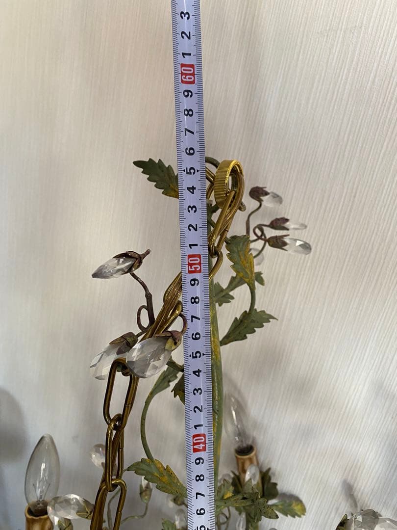 De Luce ド・ルーチェ シャンデリア　5灯　植物　アンティーク