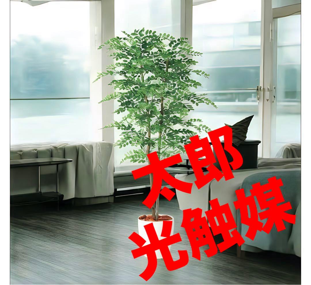 光触媒　人工観葉植物　フェイクグリーン　アカシアディアル150FST