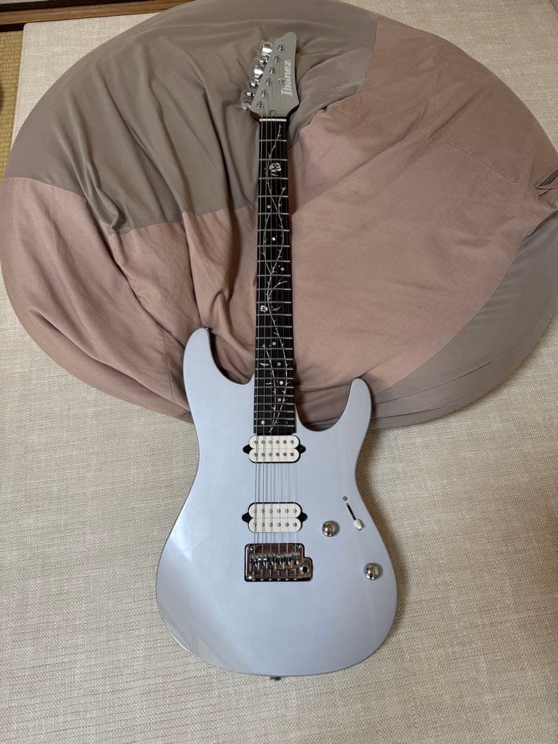【期間限定値下げ】2025年4月新品購入 Ibanez TOD 10