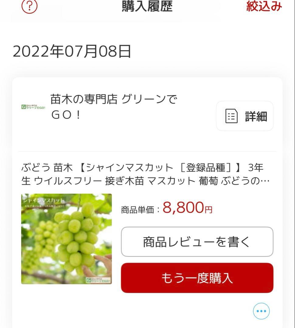 6年生　シャインマスカット