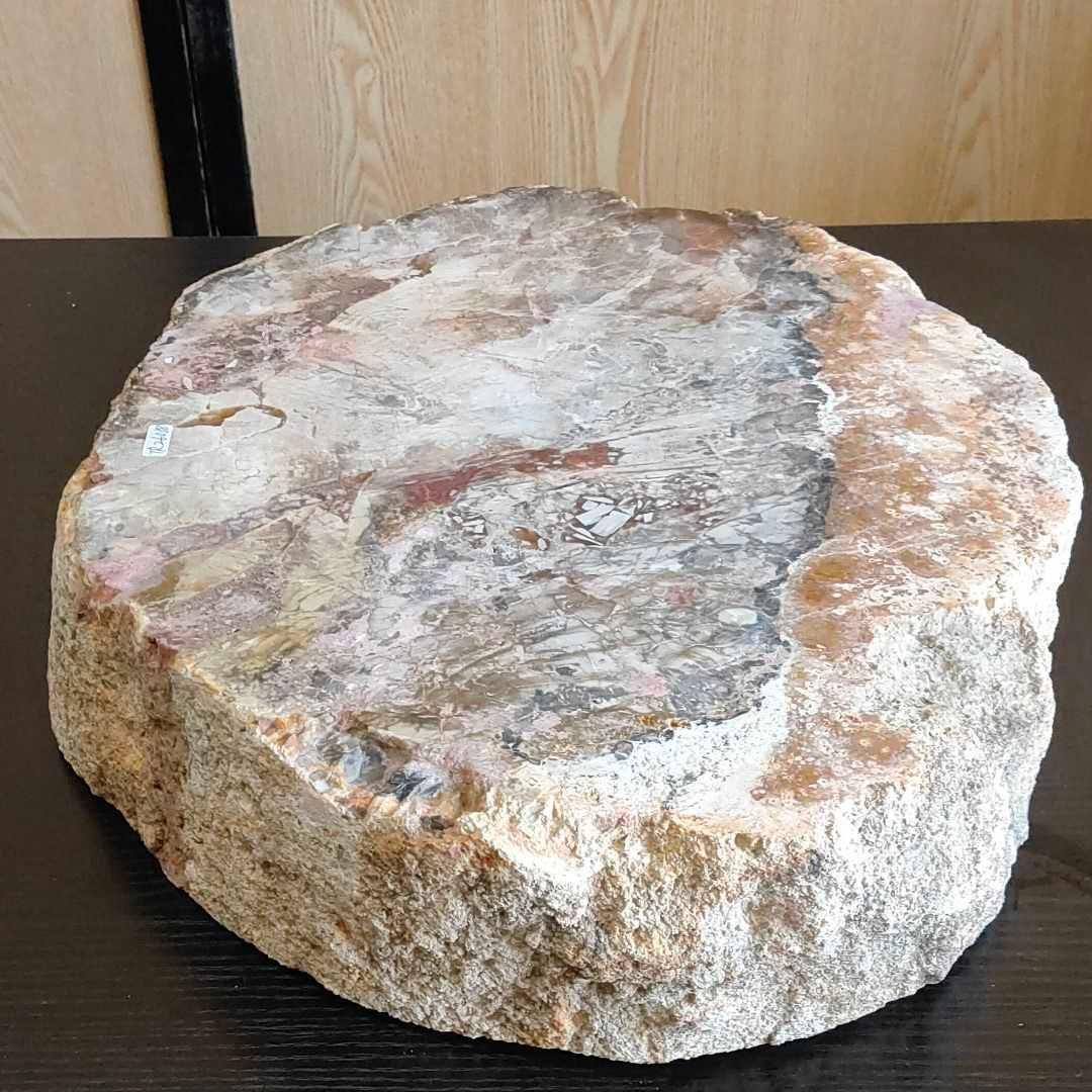 アリゾナ州で発掘された超大型珪化木の化石重量なんと21.3kg