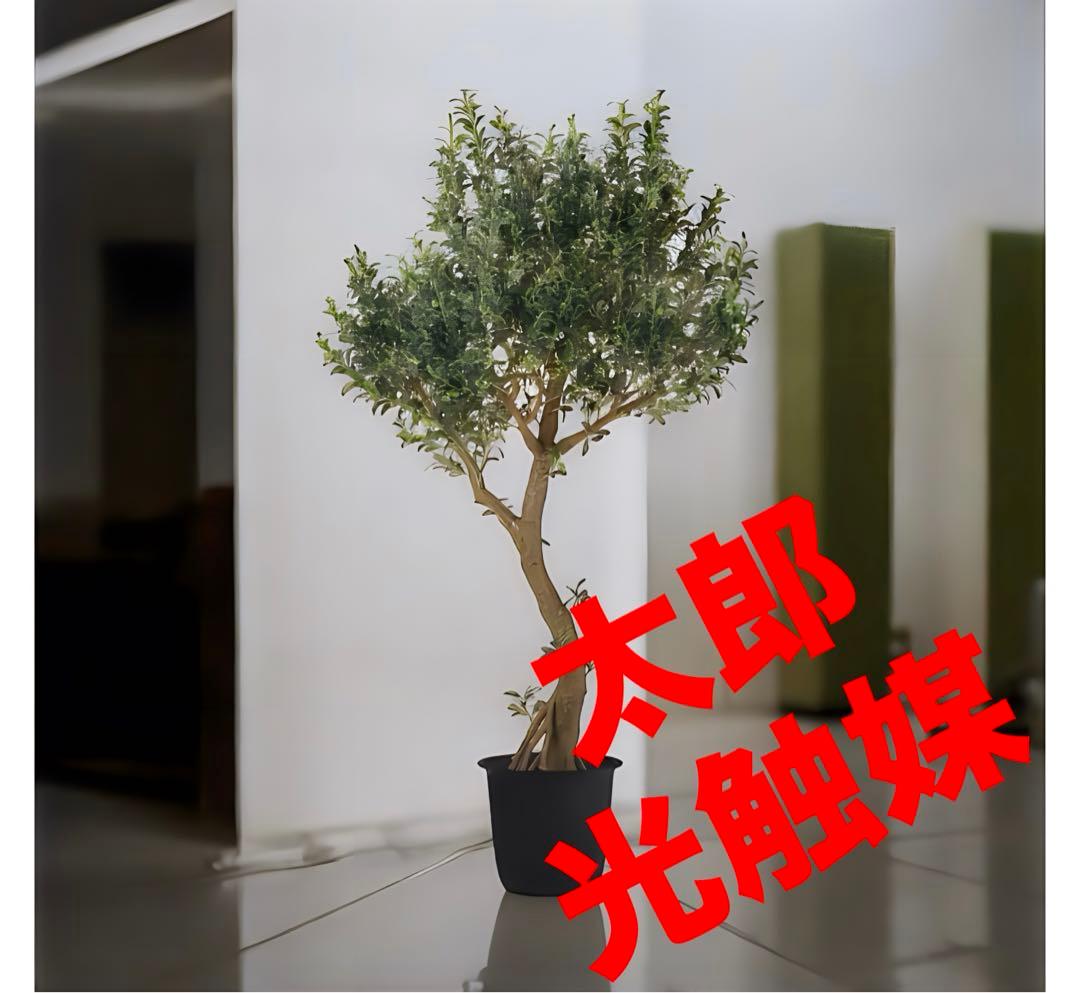 光触媒　人工観葉植物　ウォールグリーン　フェイクグリーン　オリーブ250