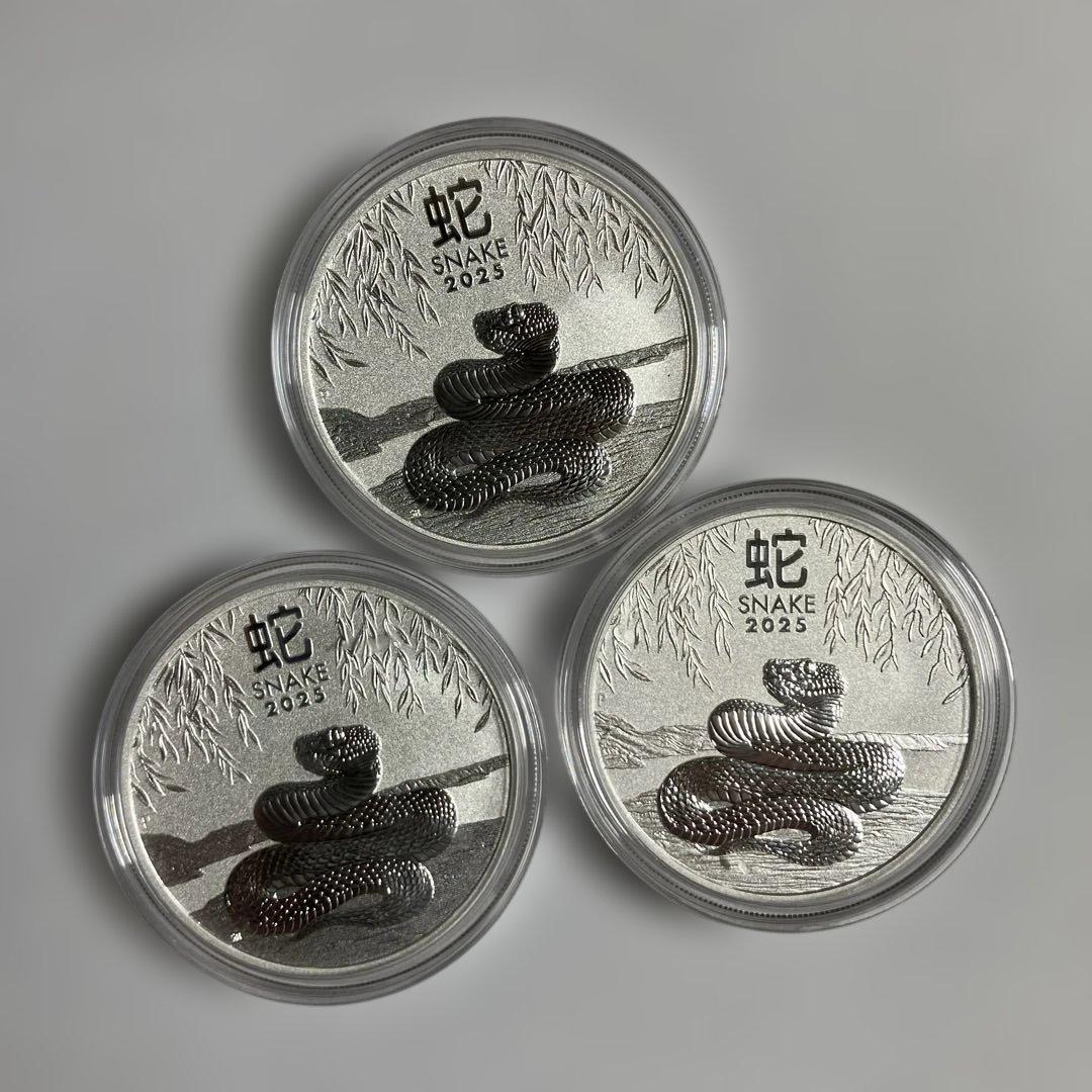 2025年蛇銀貨3枚