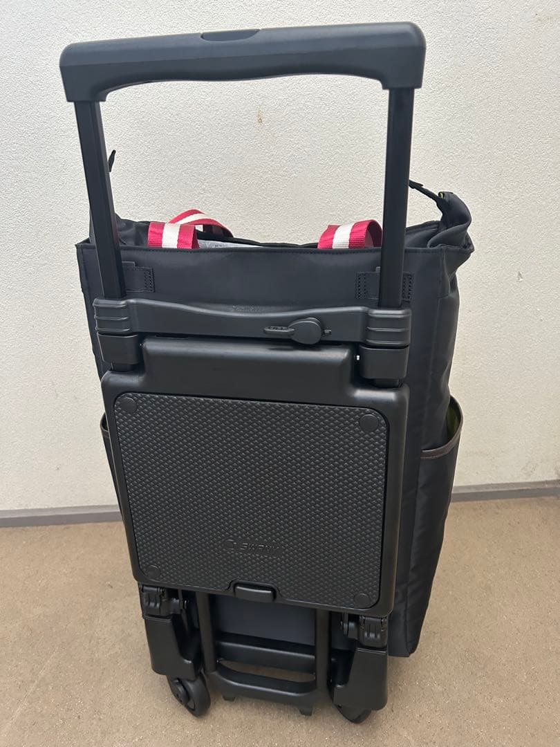 スワニーキャリーバッグイス付き
