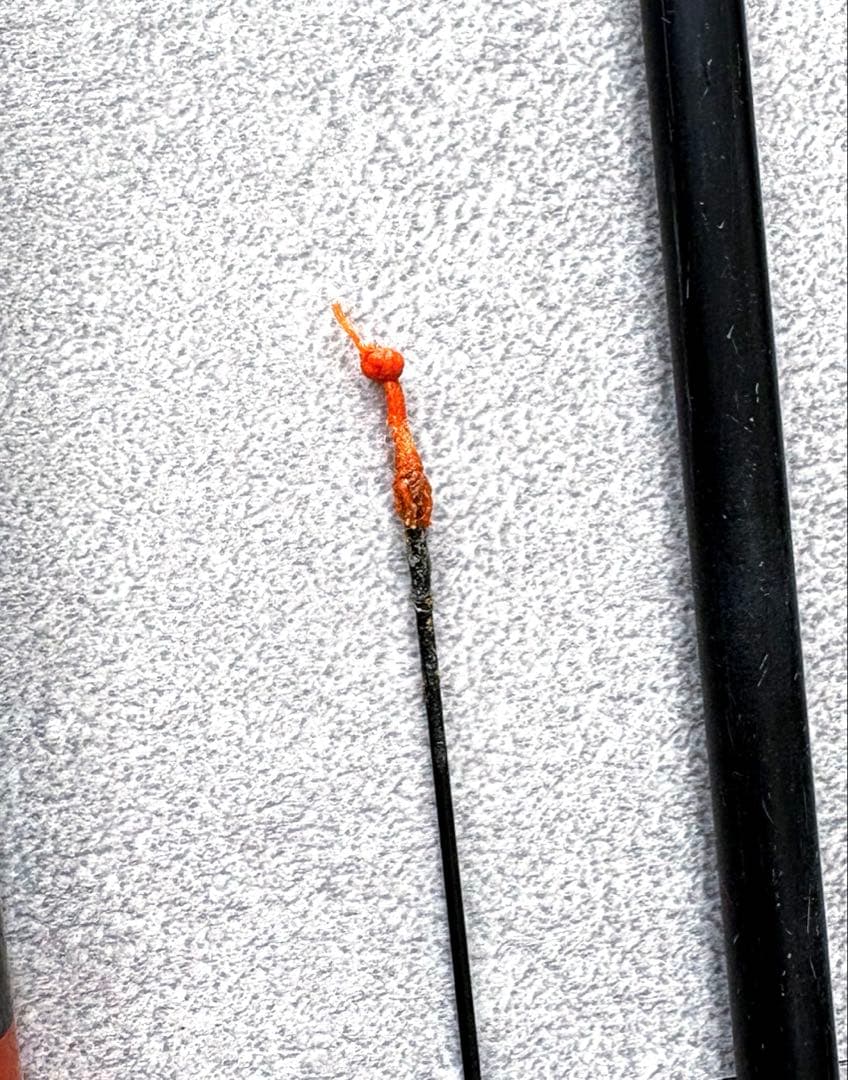 ヘラブナ竿 5本セット