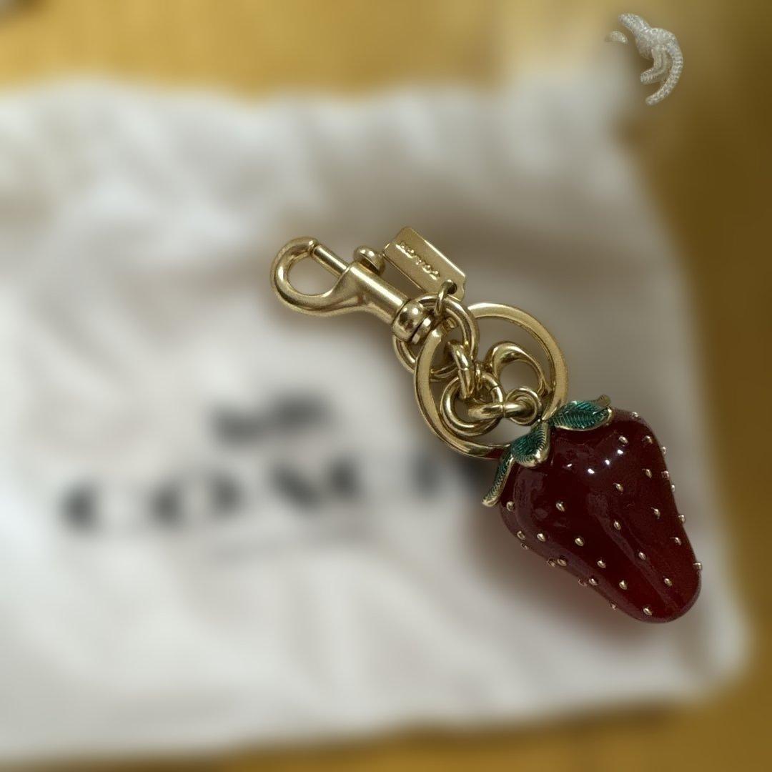 COACH イチゴ型キーホルダー 専用袋付き