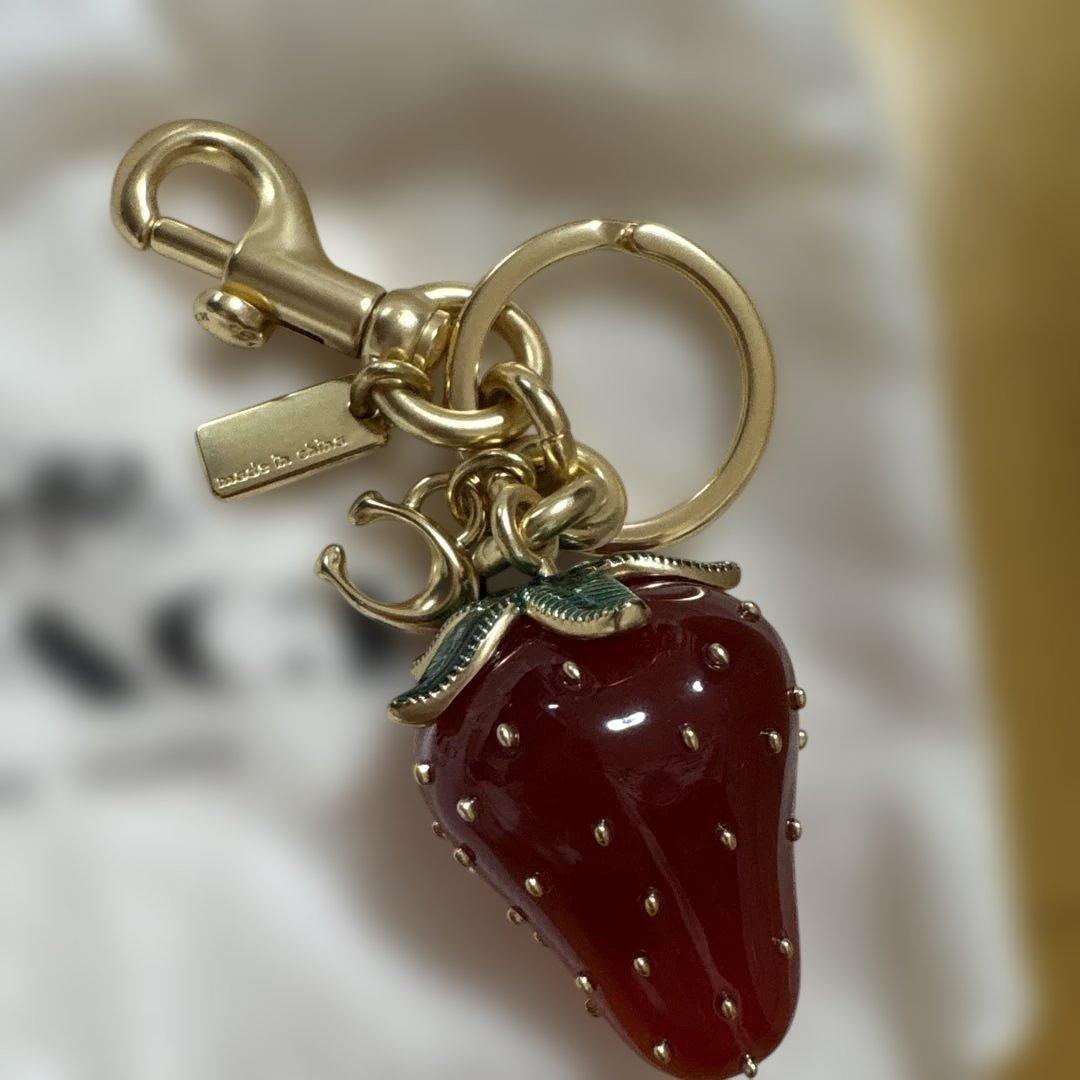 COACH イチゴ型キーホルダー 専用袋付き