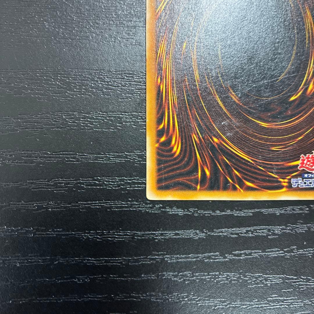 遊戯王　ダークネクロフィア　レリーフ1枚