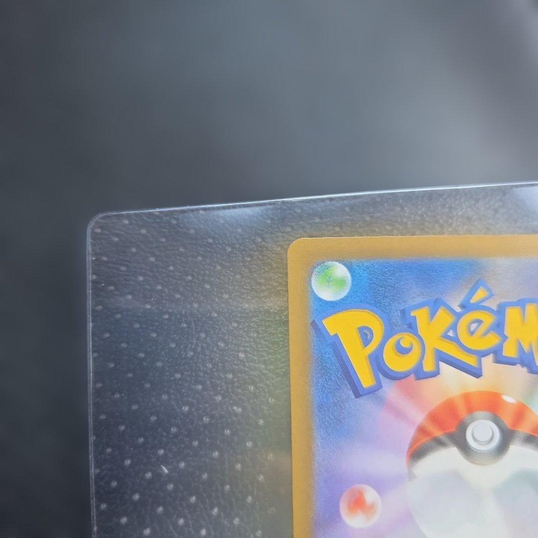 ラーメン好きさん専用