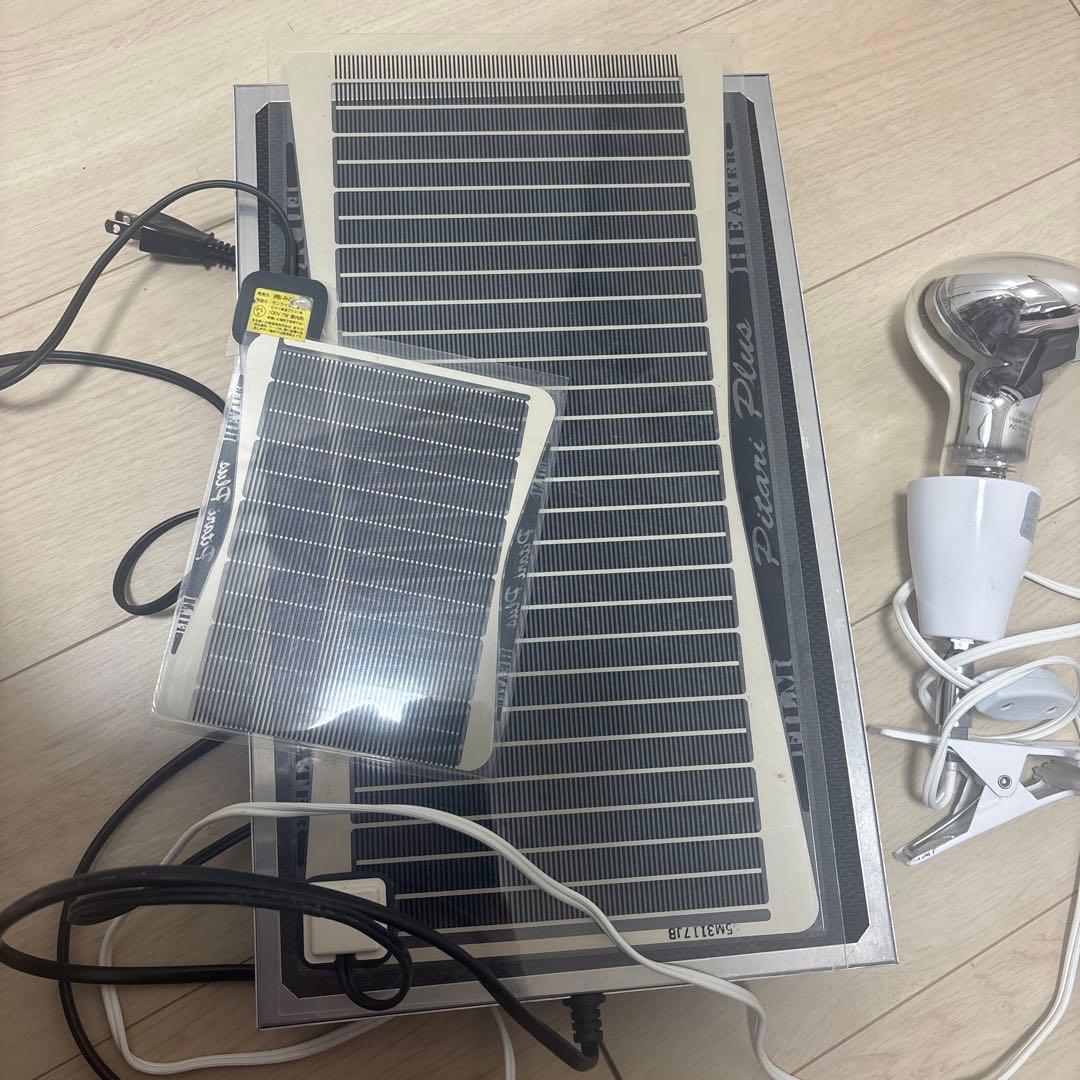 爬虫類飼育セット