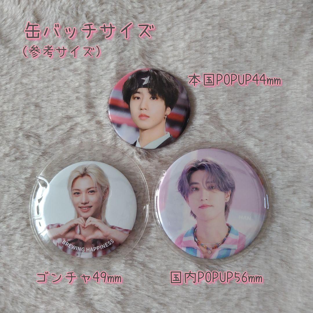 StrayKids skzoo 缶バッチケース ぬい服