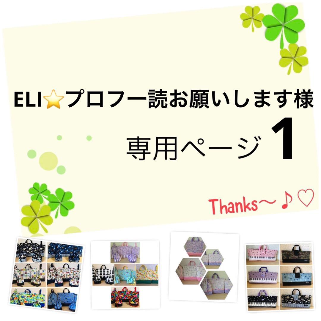 ELI⭐️プロフ一読お願いします様の10点専用ページ1です。