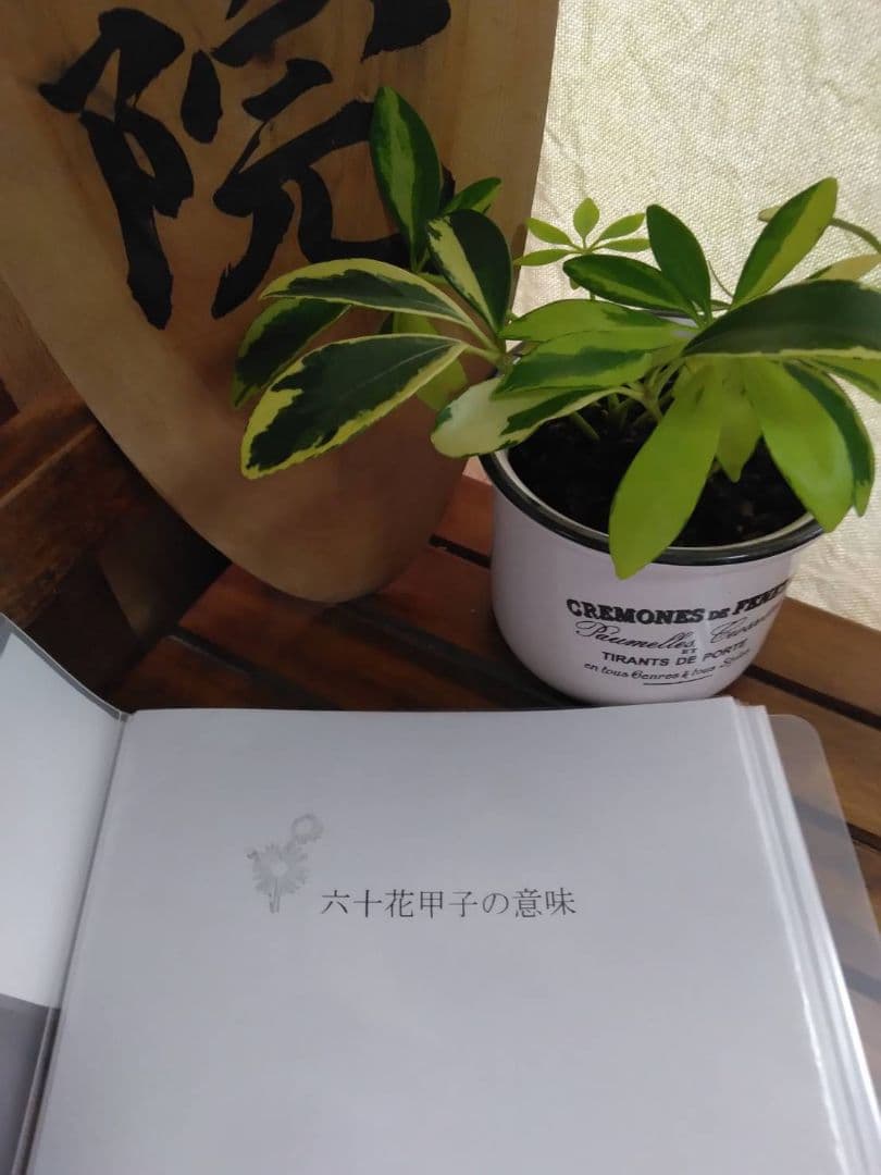 【Yuko様ご予約品です】算命学教材【六十花甲子】【算命学占の基礎知識(上下)】