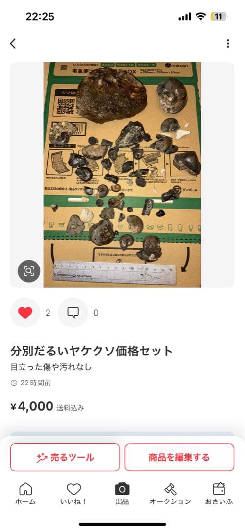 ひでさん　化石セット