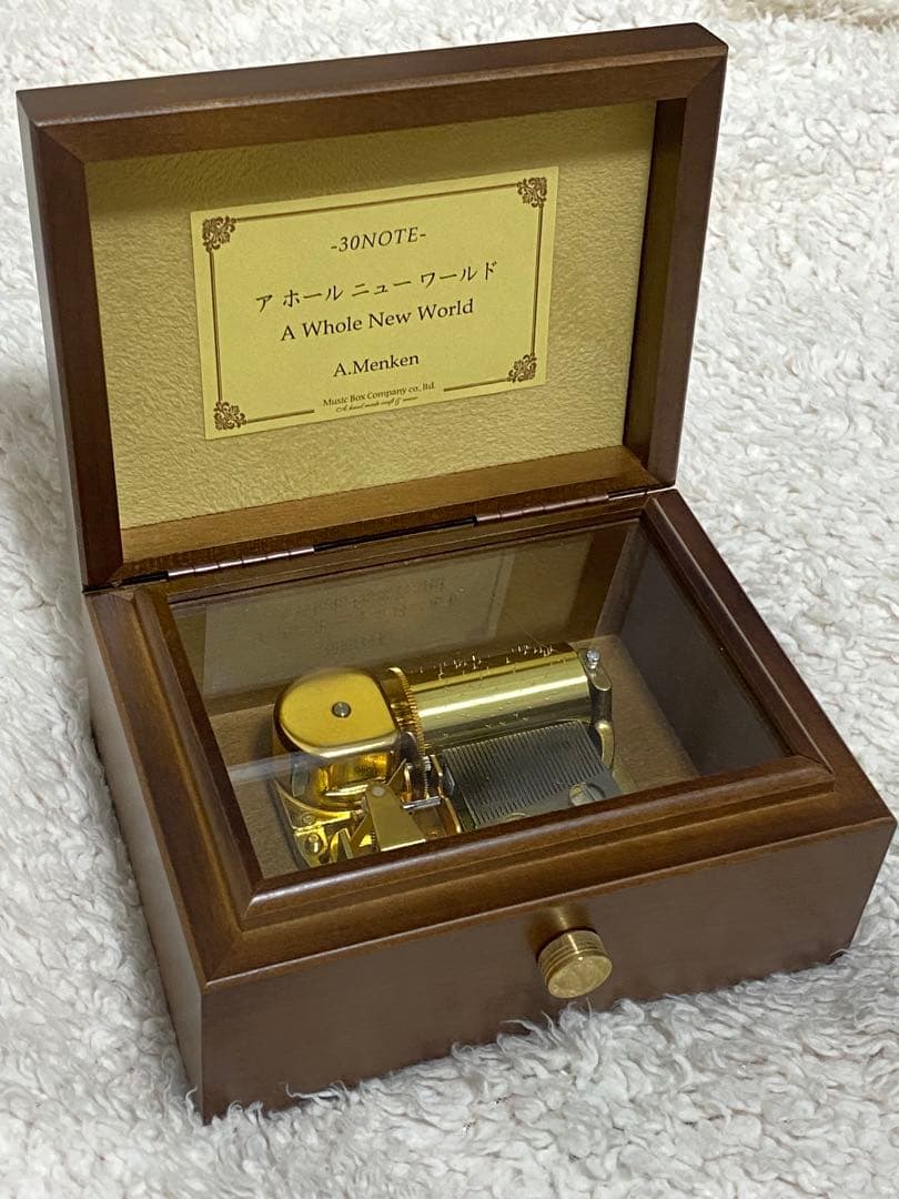 ディズニー アラジン 小樽オルゴール A Whole New World ⁺˳✧