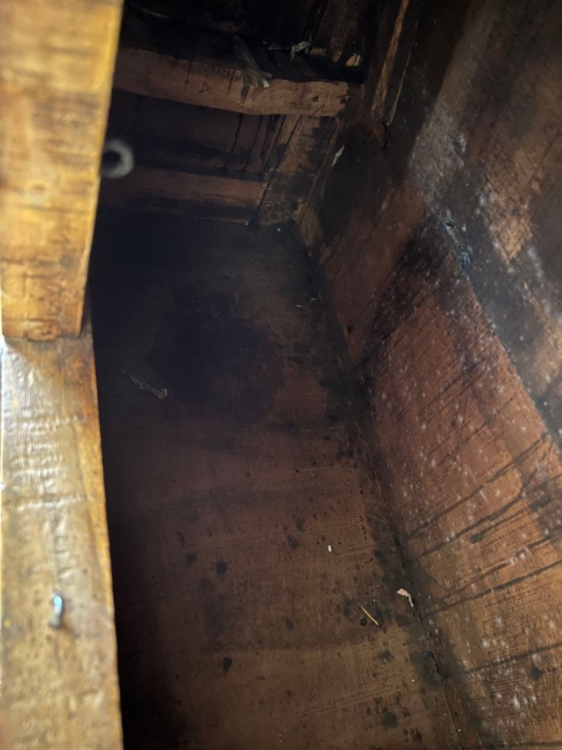 アンティーク　キャビネット　インド　装飾的な彫刻付き