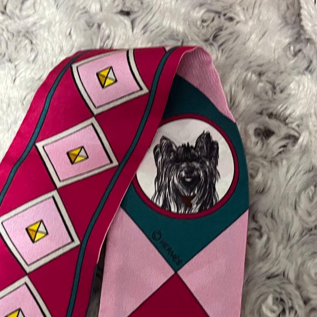 【こうちゃん】HERMES エルメス　コリエ・エ・シアン　ツイリー