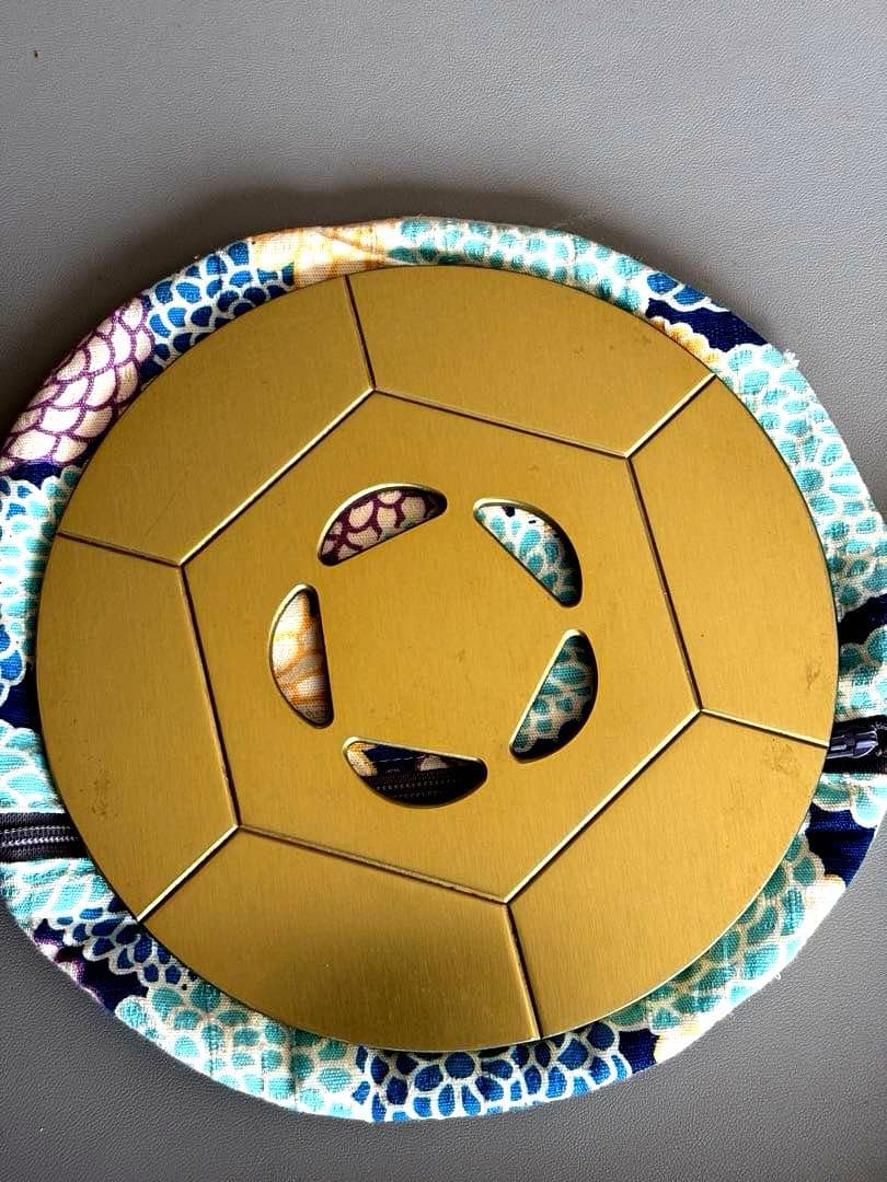 FTWビューラプレート　おまけカバー付き