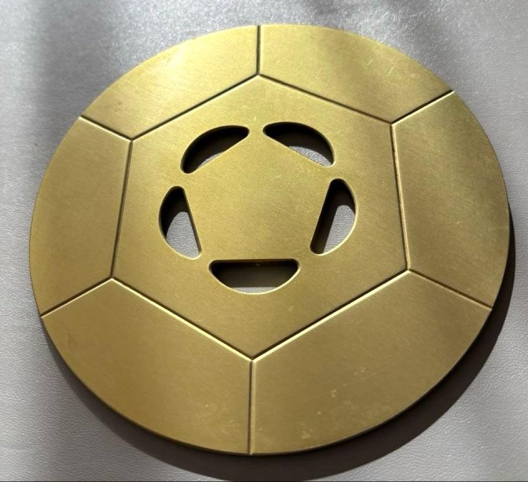 FTWビューラプレート　おまけカバー付き