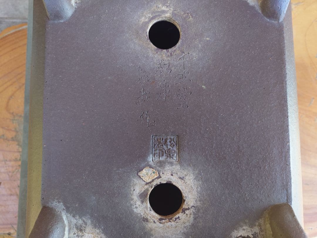 盆栽　鉢　十王堂松泉　幅39cm