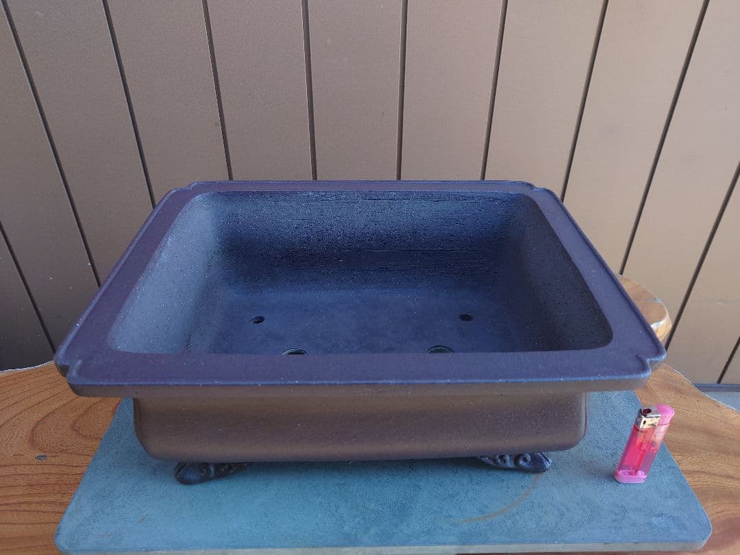 盆栽　鉢　十王堂松泉　幅39cm