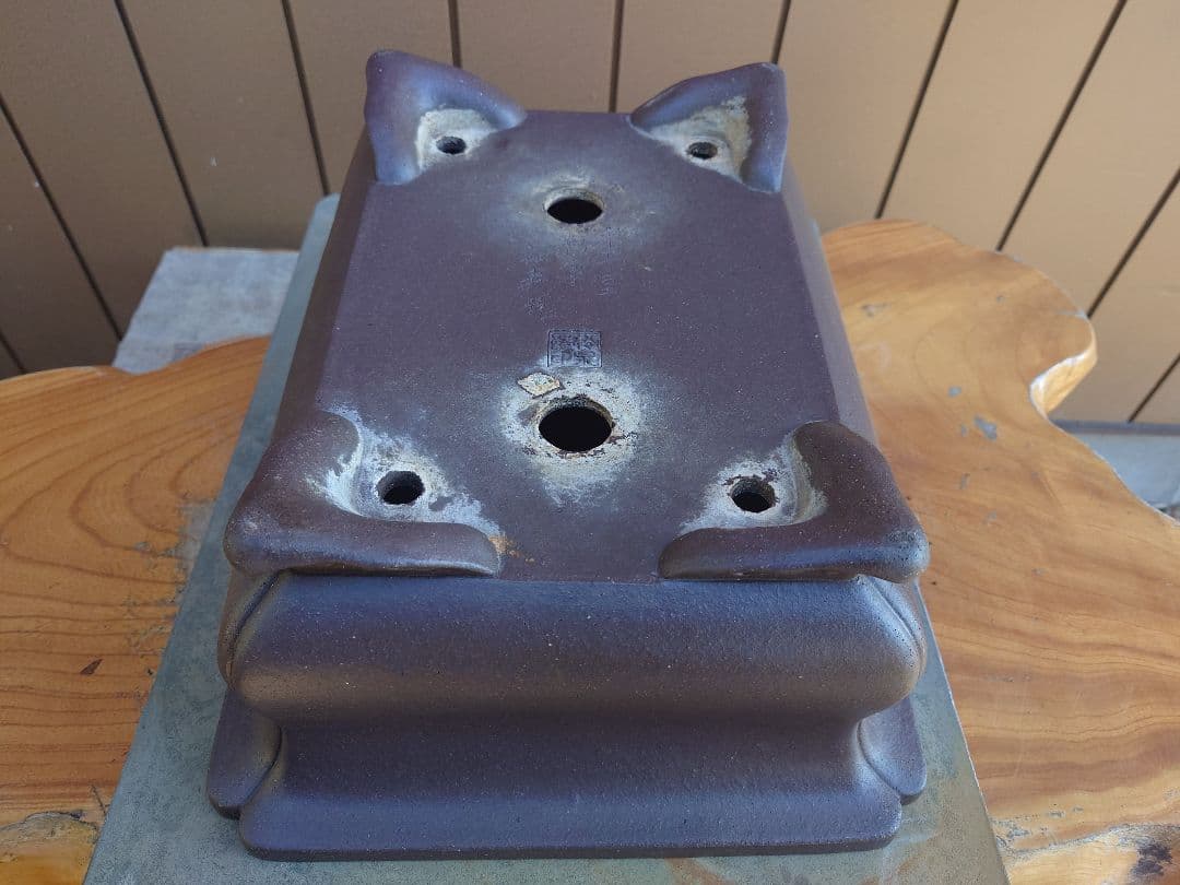 盆栽　鉢　十王堂松泉　幅39cm